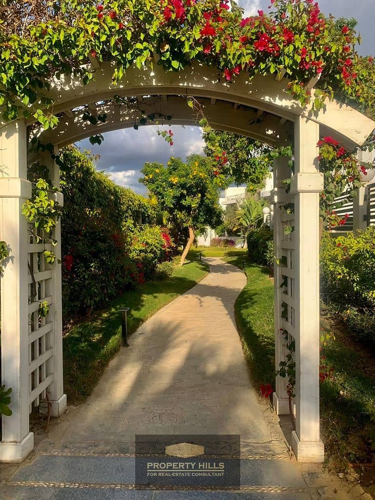 5 60b8fd17-ca1f-4705-91e8-f694ae411c91. jpg. jpeg