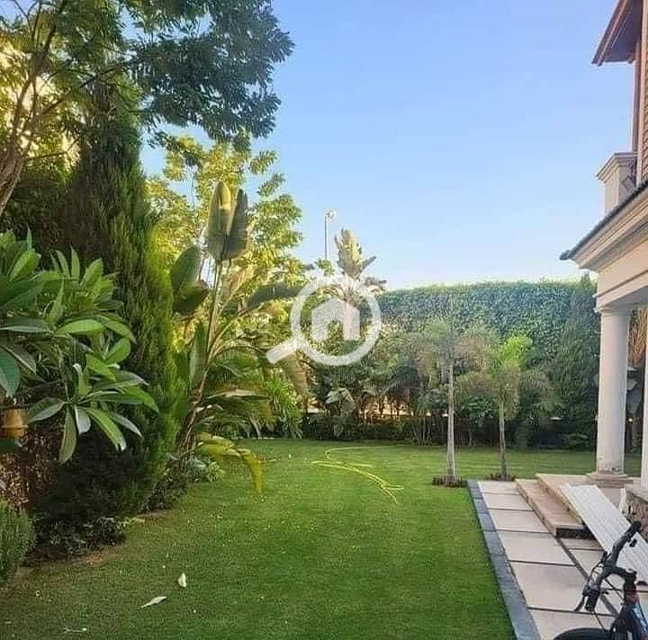 10 f88e6f9c-44c7-4136-8db2-5d00da55cddb. jpg