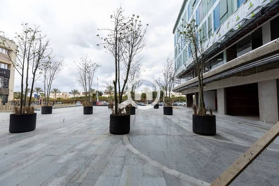 4 493910850_1196622562200363_7195305580794394473_n. jpg