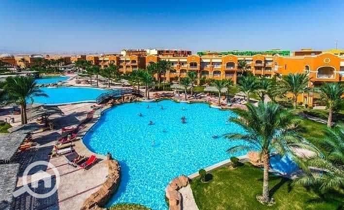 2 552250540_1325383908974949_1175396562494399747_n. jpg