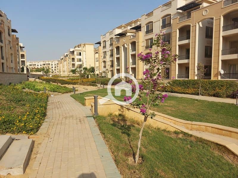 7 244652625_391344339360020_8673597321661604_n. jpg