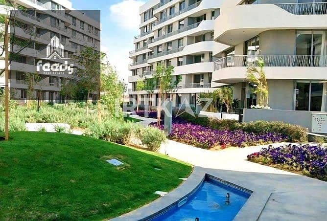 7 7781025-631b5o. jpg