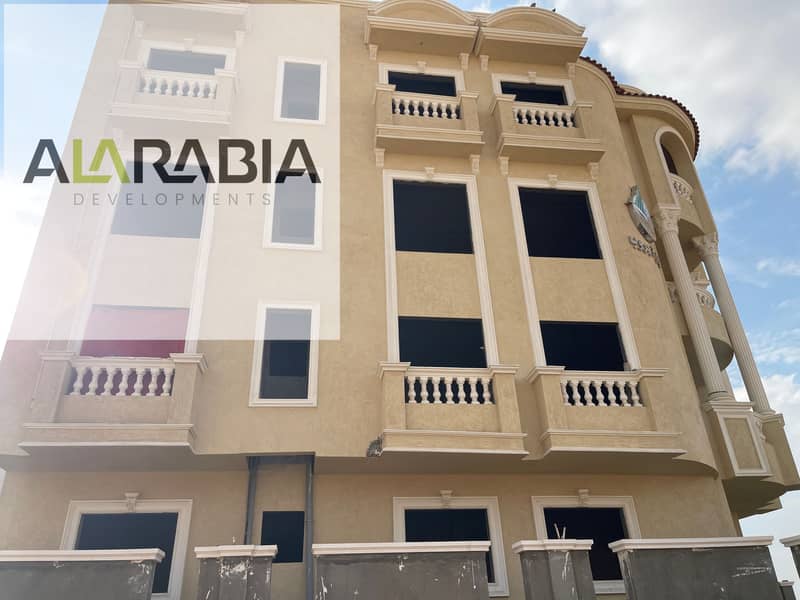 5 2025_11_12_14_25_IMG_5484. JPG