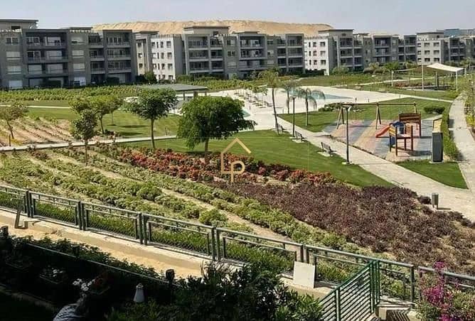 10 8088030-4be79o. jpg