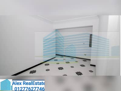 3 Bedroom Apartment for Rent in Kafr Abdo, Alexandria - WhatsApp Image 2025-11-12 at 8.04. 27 AM (4). jpeg