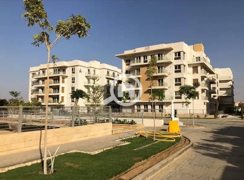 7 WhatsApp Image 2024-10-19 at 5.30. 07 PM. jpeg