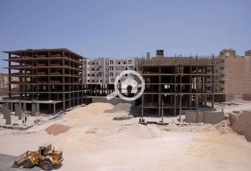 7 7901535-5bbd9o. jpg