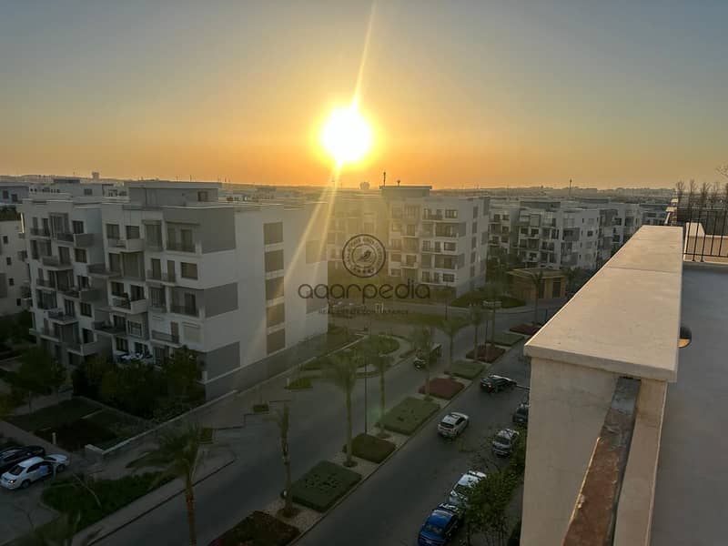 3 WhatsApp Image 2025-07-31 at 3.11. 40 PM (1). jpeg