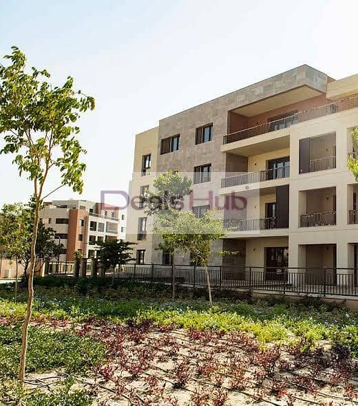 6 579931030_1545635963551573_3356532653517063717_n. jpg