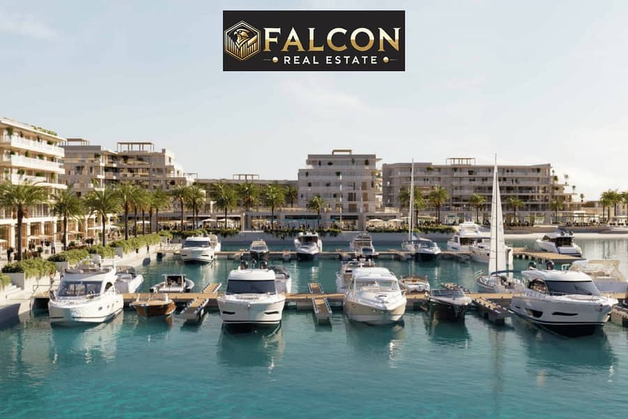 2 Untitled-design-2023-03-09T113108.509. png