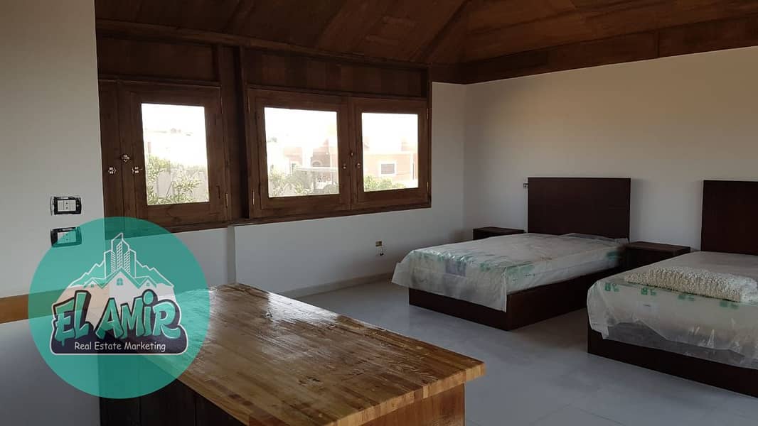 4 040daf53-c595-4181-a2c4-cd6d072fa130. jpg