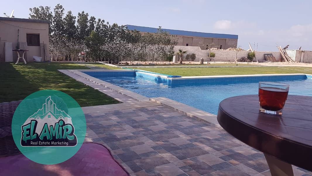 5 218db316-3274-4743-8a17-455e9119a3b2. jpg