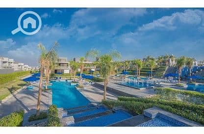 11 5177385-a1872o. jpg