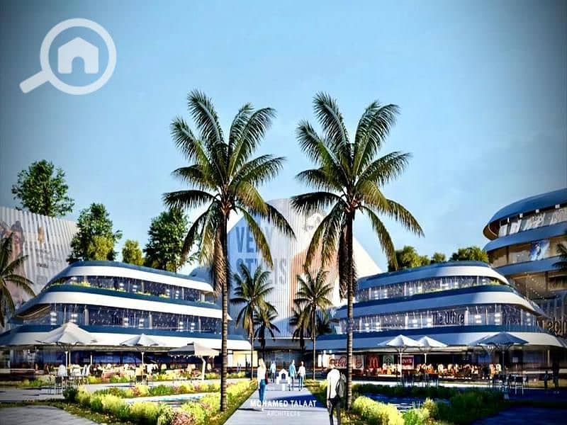 4 WhatsApp Image 2024-02-06 at 11.47. 43 AM. jpeg