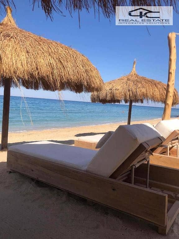 5 563457542_1317042396772101_2300423059380943009_n. jpg