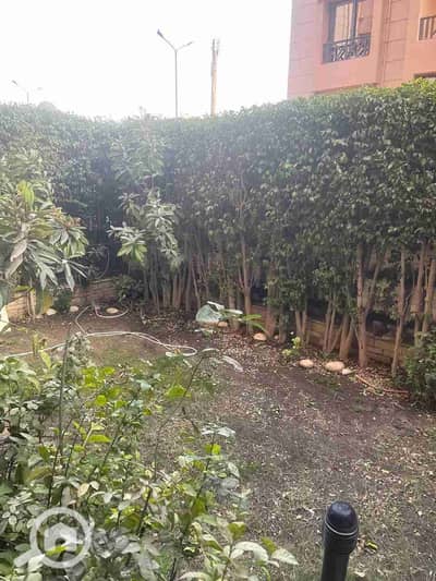 3 Bedroom Apartment for Rent in New Cairo, Cairo - 1000212580. jpg