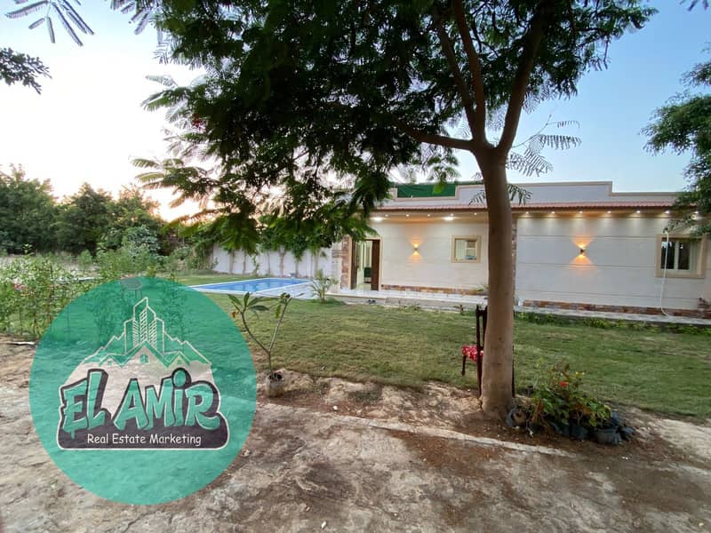 6 55643e01-e78d-4512-9aaa-440086e19427. jpg