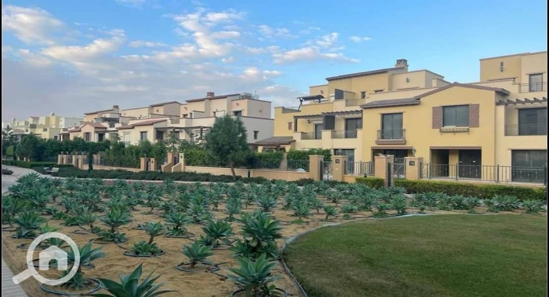 5 e359f70e-cdfe-47b6-924f-9efed3b2618a. jpeg