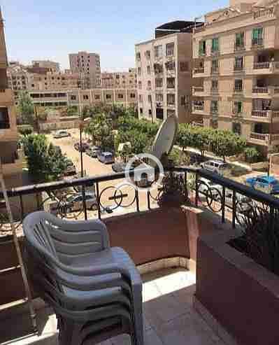 IMG_٢٠٢٥١١١٣_١٥٥٠٢٤. jpg