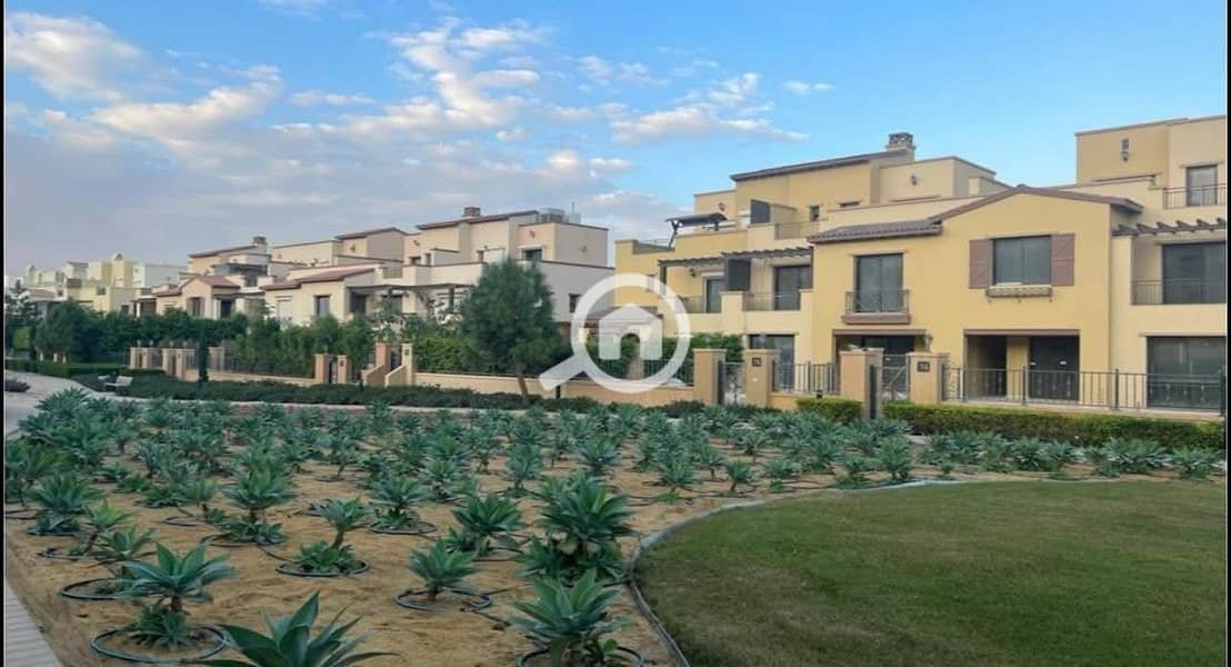 8 e359f70e-cdfe-47b6-924f-9efed3b2618a. jpeg