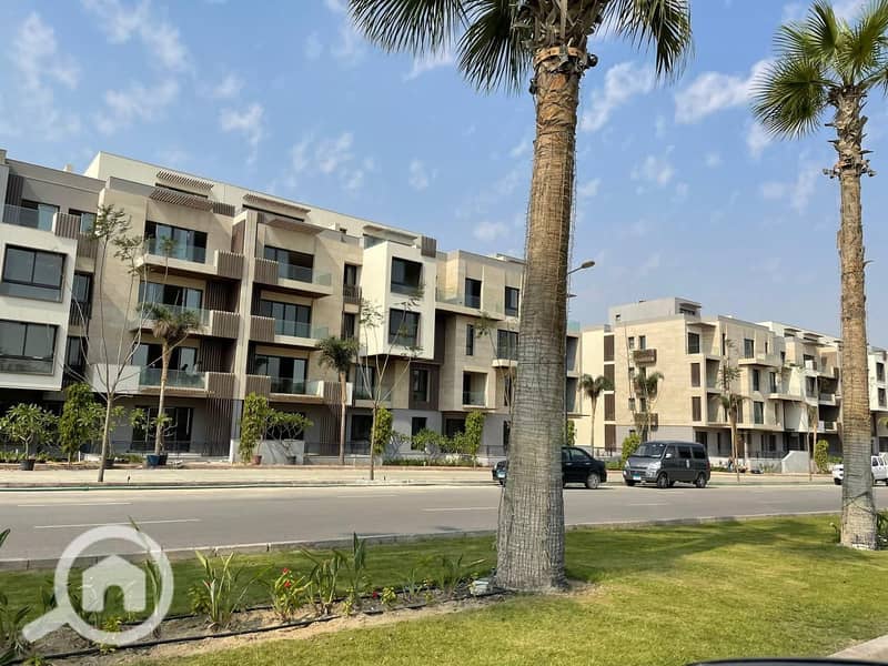 7 01882be2-a391-44fc-9d7b-0cf1d33ddf37. JPG