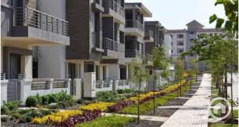 11 images. jfif. jpg