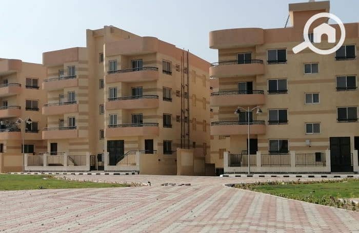 2 252675921696001888. jpg