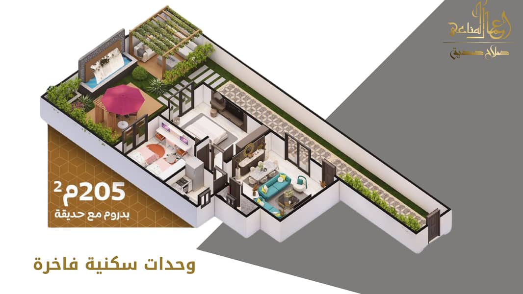 3 جاردينيا الشمس-08. jpg