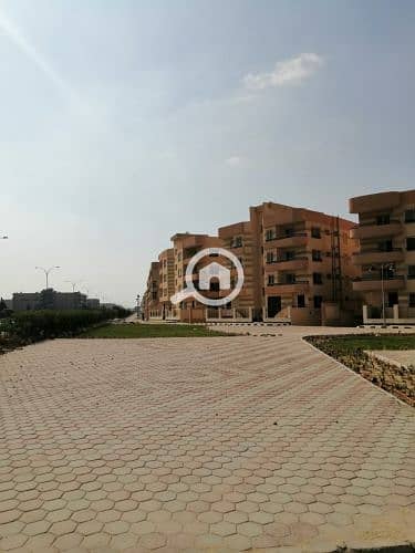 6 732699061778741406. jpg