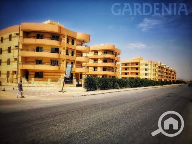 10 8917494211681612159. jpg