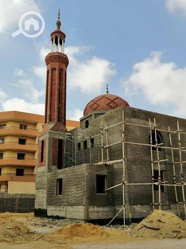 13 20146513391443773282. jpg