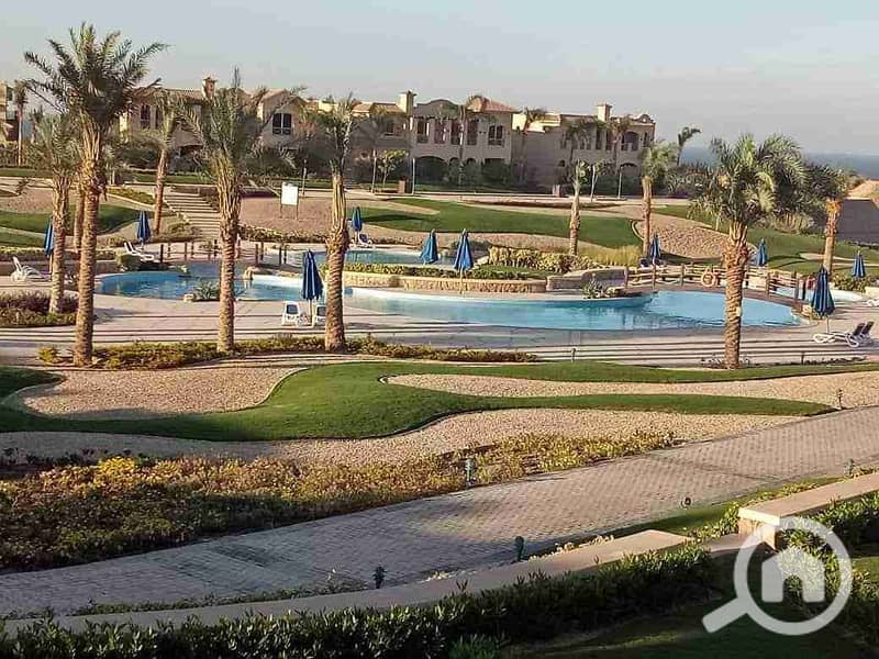 4 FB_IMG_1644058677159. jpg