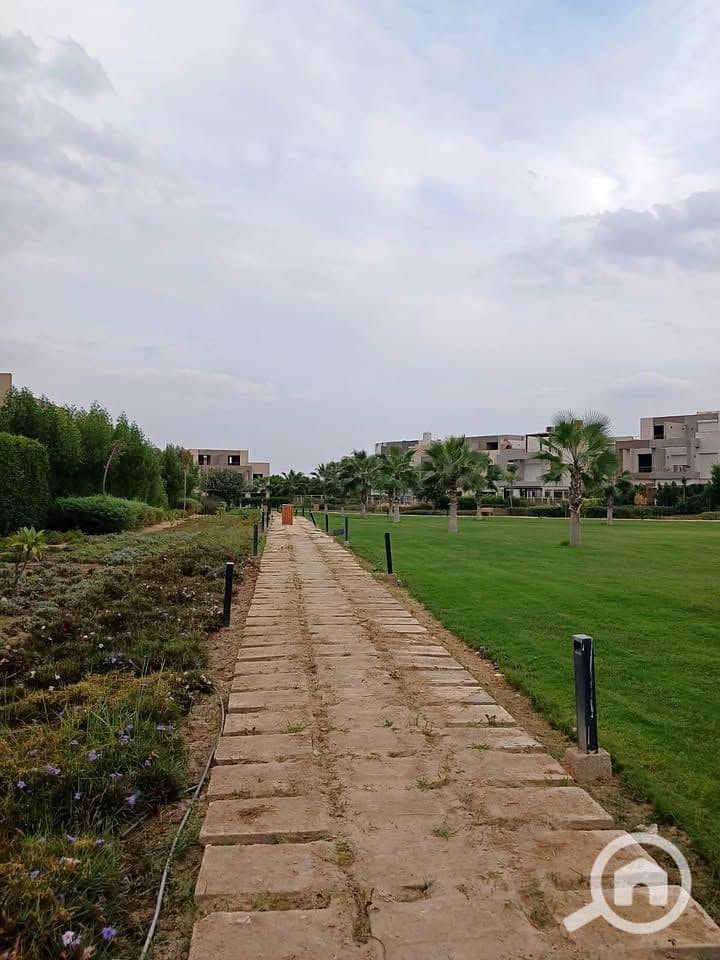 3 473208228_1228661944863686_4017126394790490492_n. jpg