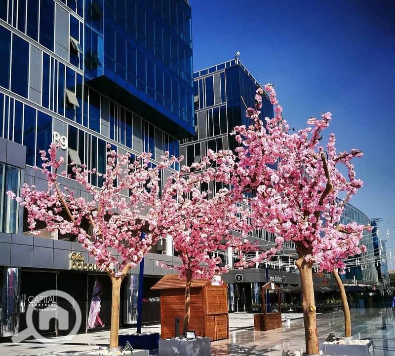 6 WhatsApp Image 2025-05-25 at 1.47. 09 PM. jpeg