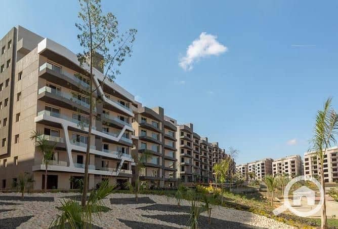 8 WhatsApp Image 2025-10-15 at 4.05. 01 PM (2). jpeg