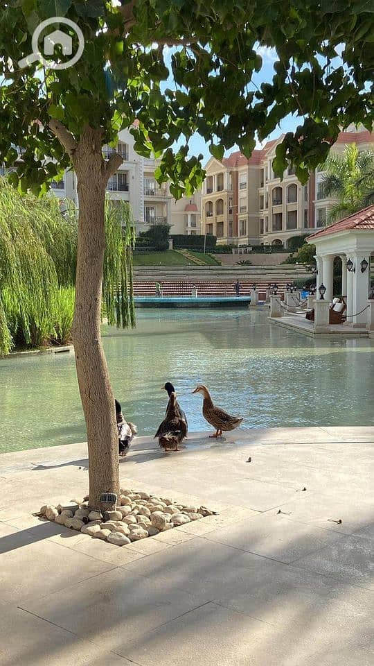 7 WhatsApp Image 2025-09-29 at 1.14. 31 PM (1). jpeg