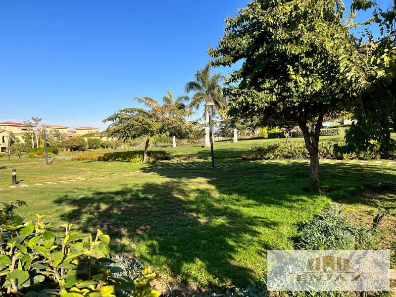 11 01505331b4a040b8eb6b94ec5df001ef014ccf8a. jpg