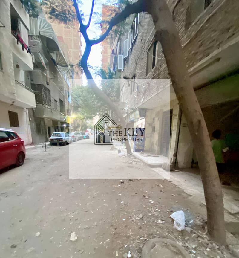 6 WhatsApp Image 2025-11-05 at 01.54. 38_e332bffb. jpg