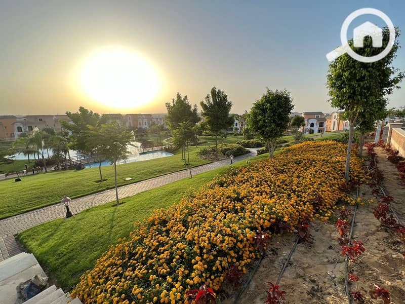 6 2c5bdc2b-3216-4d56-a530-0f24bb31e329. jpg