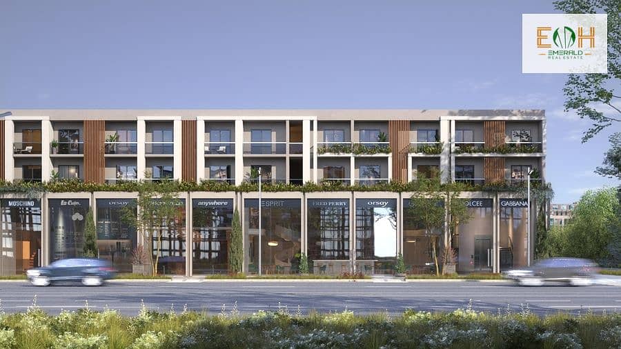 11 Cam 004& 005.06. jpg