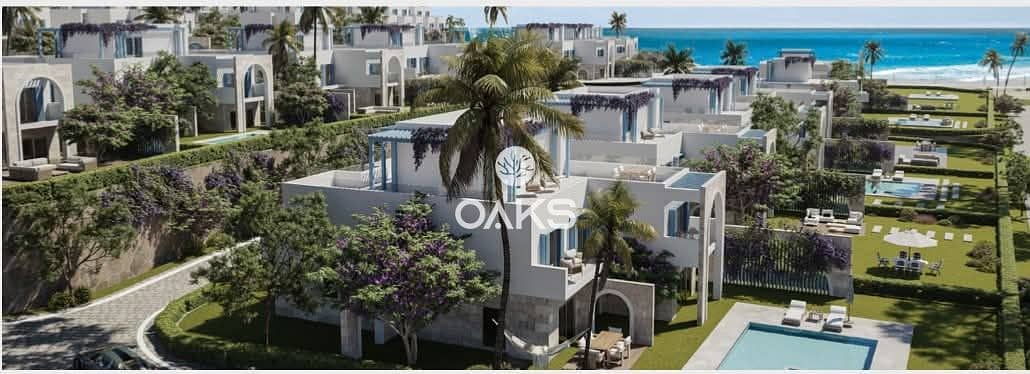 6 66a29ff6-744e-4030-a447-f08346dd4e67. jpg