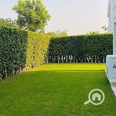 9 468786463_549918747804829_4582364260007946447_n. jpg