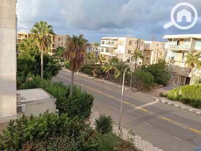 3 Bedroom Flat for Rent in Maamoura, Alexandria - 2583. jpg