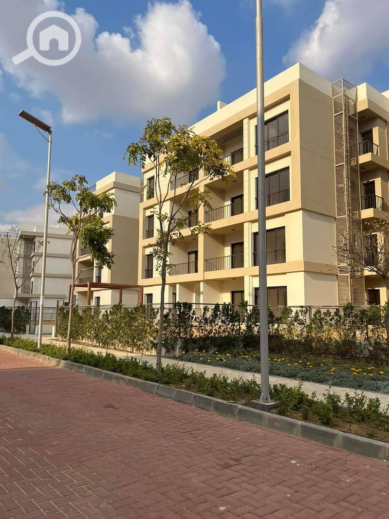 6 المراسم التجمع الخامس (24). jpeg