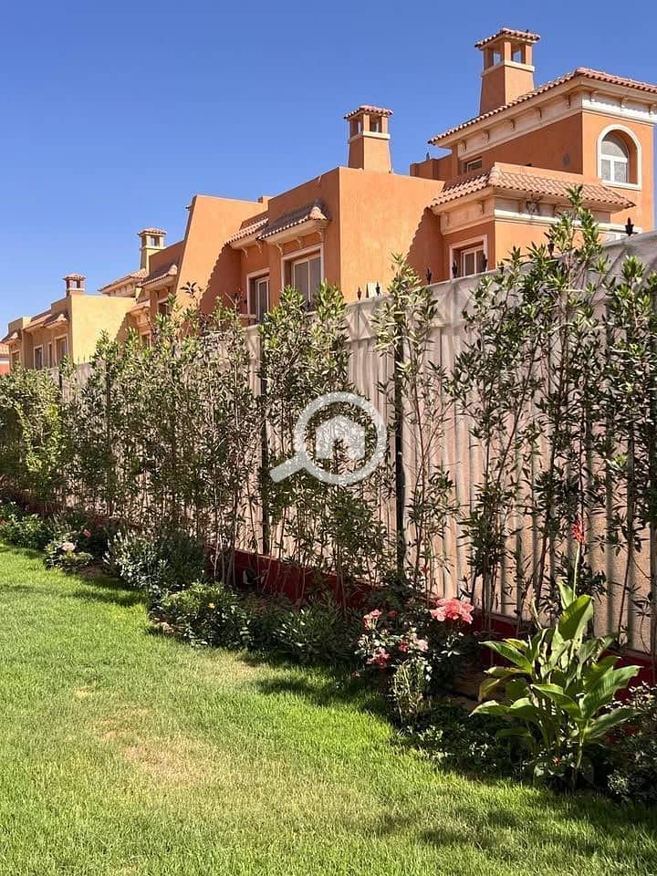 6 نيوم (11). jpg