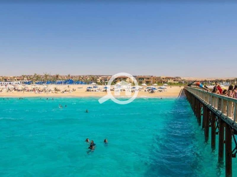 3 Untitled design - 2023-07-12T164544.661 (2). png