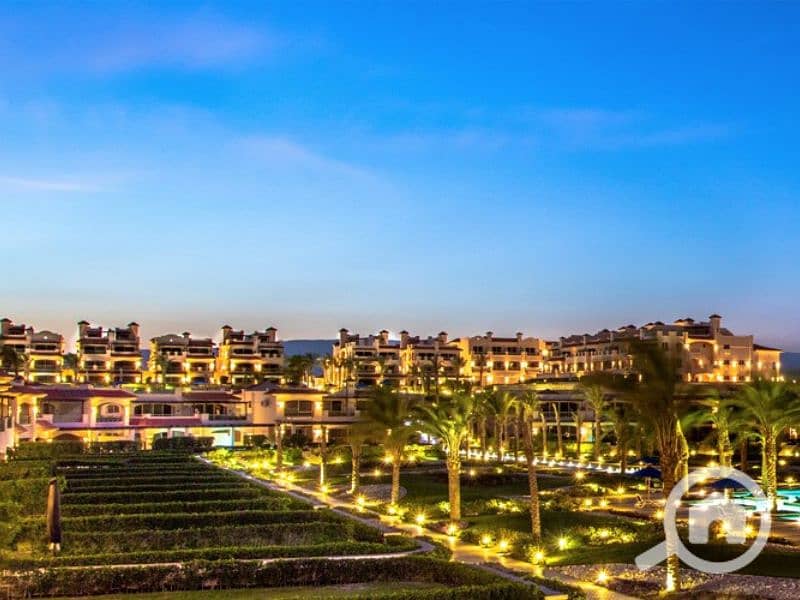 4 Untitled design - 2023-07-12T164557.718 (2). png