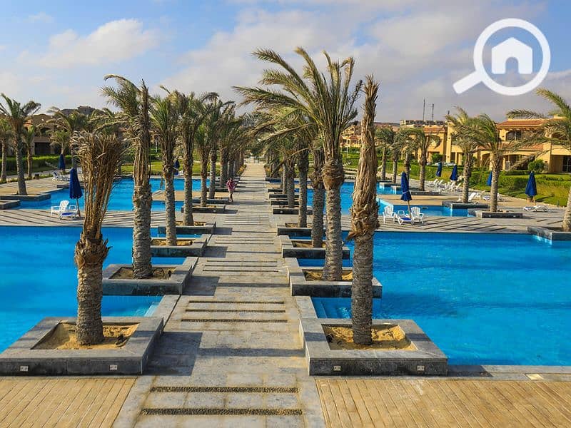 6 Untitled design - 2023-07-12T164620.427. png