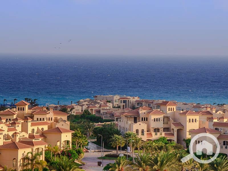 7 Untitled design - 2023-07-12T164634.399 (2). png