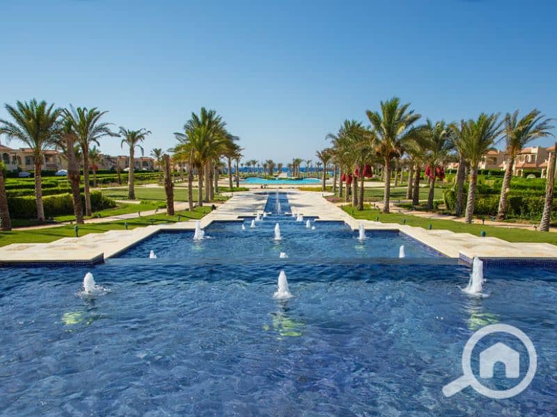 8 Untitled design - 2023-07-12T164643.054 (2). png